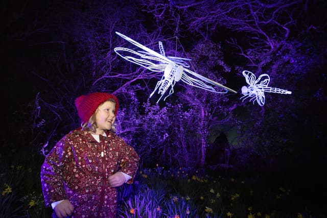 A child in a red coat and hat admires glowing insect sculptures in a purple-lit forest setting at night.