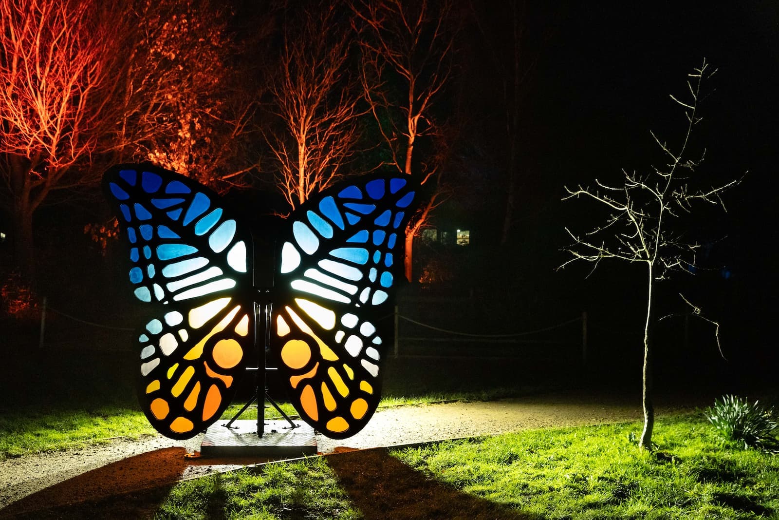 A large, illuminated butterfly-shaped sculpture glows in blue and orange hues at night, set against a backdrop of red-lit trees and a leafless tree.