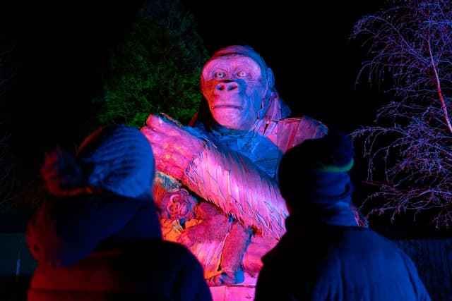 Two people in winter clothing admire a large, illuminated gorilla sculpture at night, highlighted in vibrant pink and blue lights.