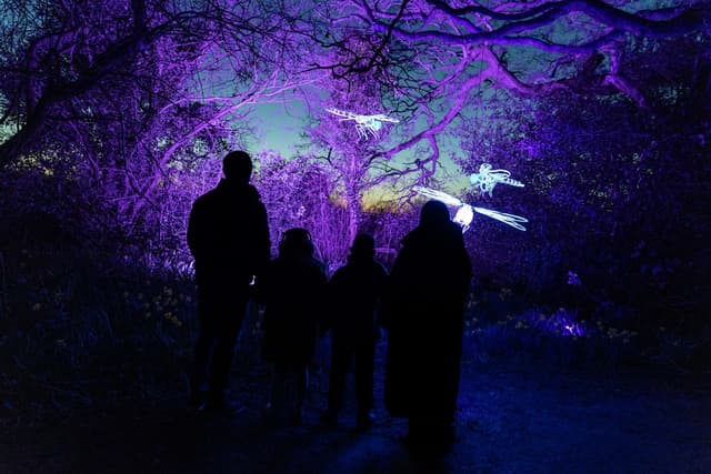 A family of four silhouetted against a vibrant purple forest with illuminated insect shapes in the trees at dusk.