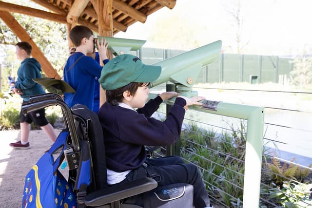 Young boy in a wheelchair using a telescope at a zoo, wearing a green cap, surrounded by other children under a wooden shelter.