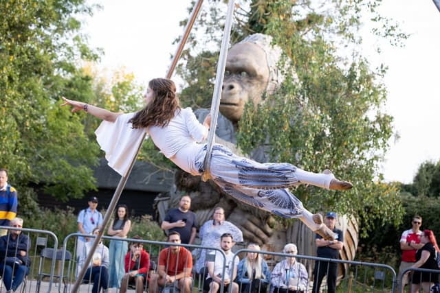 A performer in white and patterned pants swings on aerial silk outdoors, with a large gorilla statue and an audience watching in the background.