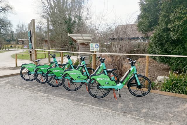 Five green West Bike rental bicycles lined up beside a wooden fence on a park path