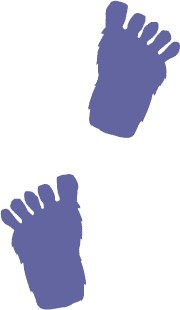 Two stylised purple footprints with distinct toes facing each other on a transparent background.