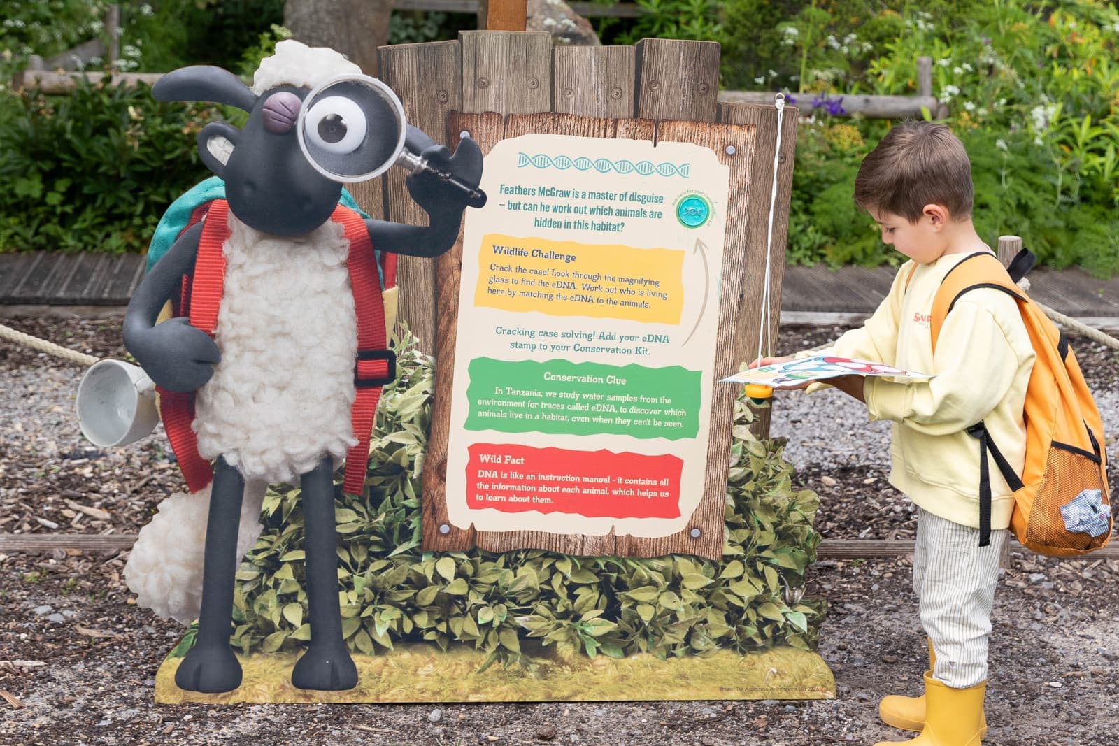 A child with an orange backpack examines an educational sign next to a cartoon sheep figure holding a magnifying glass.